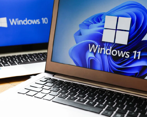 Windows Installation
